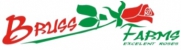 bruss farms